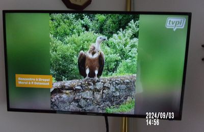Le Motard qui a tué KAMILYA  fera pas de Prison !