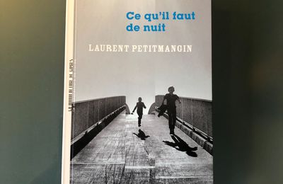 Ce qu'il faut de nuit - Laurent Petitmangin (2020)