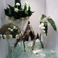  #  Concours International  d 'Art Floral MAZAMET #