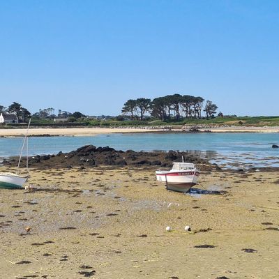 Lilia- Plouguerneau -Finistère 