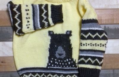 Un nouveau pull pour Louise!