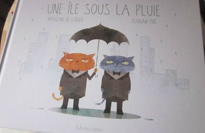 Une île sous la pluie, de Morgane de Cadier & Florian Pigé