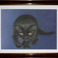 Nocturne: portrait de chat au pastel