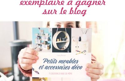 ★ Concours de Noël • 2 livres à gagner ★