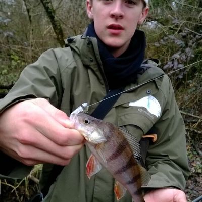 Joyeux noël à tous ! 