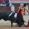 NÎMES : Castella, premier torero dans un ruedo avec six Adolfo Martin