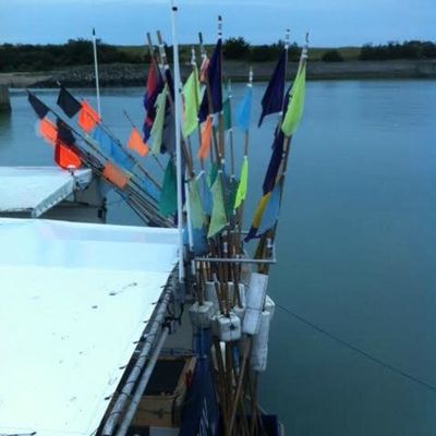 Un week-end de printemps ensoleillé... pour croire qu'on se rapproche de l'été