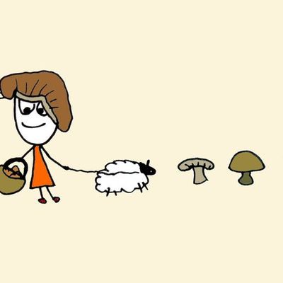 Champignons de saison