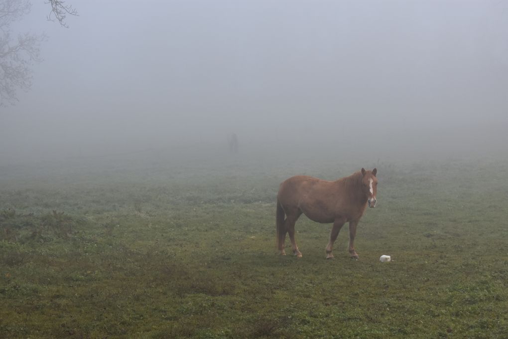 Randonnée matinale au &quot;Mont - Saint - Michel&quot; Savoyard