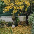 Le 20 de 2020 c'est jardin ! (octobre)