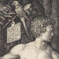 "Dürer’s Fame" @ National Gallery of Scotland 