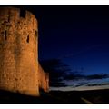 Cité médiévale de Carcassonne sous la Lune