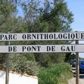 001 - Parc ornithologique de Pont-de-Gau
