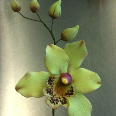 PROCHAINS STAGES FLEURS