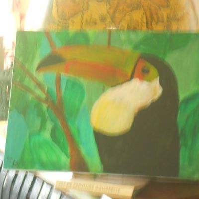 Toucan en acrylique