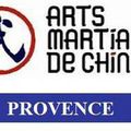 Stage Arts Martiaux de Chine à Marseille