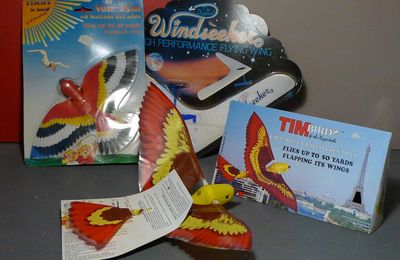 Des objets volants anciens bien identifiés, deux Timmy Bird dont un de 1969 et le Windseeker !