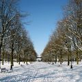 St Quentin sous la neige (suite)