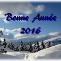 Bonne Année 2016