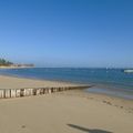 Un jour au Cap Ferret