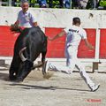  2ème journée du Trophée R. Chauvet