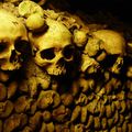 Парижские катакомбы (Catacombes de Paris) 