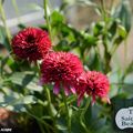 Fête automnale des plantes de Saint-Jean de Beauregard