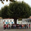 Un arbre au fil des saisons