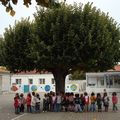 Un arbre au fil des saisons