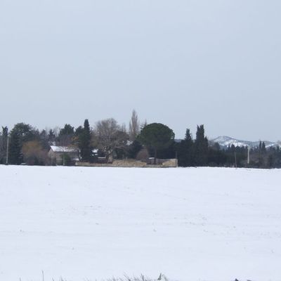 La neige sur Tarascon
