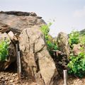 Le dolmen du Rimbaud (Pyrénées-Orientales, 66)