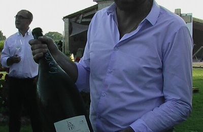 Des vins de Loire de Thierry Germain ( Saumur)