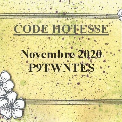 Code hotesse novembre 2020