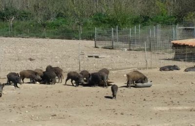 Mes bonnes adresses gourmandes sur France Bleu Provence