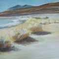 la laguna colorada (désert d'Atacama) 65X50 Acrylique sur papier