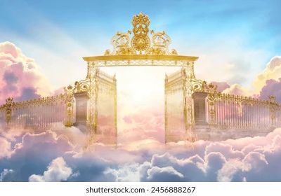 Mais qu'est ce qu'il m'a pris !