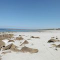 Escapade dans le Finistère - ILE DE BATZ