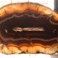 Agate du Brésil