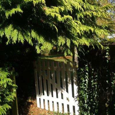 2. Au fur et à mesure de notre découverte ...