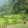 Le Tour des Annapurnas - En tutoyant les sommets.