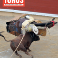 Le numéro 2037 de TOROS est paru le 25 novembre