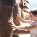 Thailande - Chiang Mai - Balade avec les éléphants