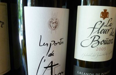 Dégustation, à l'aveugle, de vins de la rive droite de Bordeaux : millésime 2005 : deuxième partie