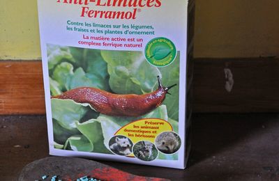 Un anti-limaces bio et efficace...ça existe !
