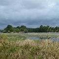 La Loire à la Chapelle aux Naux