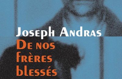 Lectures pour tous : Joseph Andras