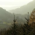 dans les Vosges, jusqu'au dernier rayon de soleil...