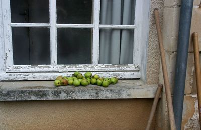 Petit tour à la campagne