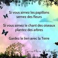 Si vous aimez les papillons 💟, Semez des fleurs 🌸🌸🌸... 