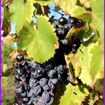 140-déjà octobre ...